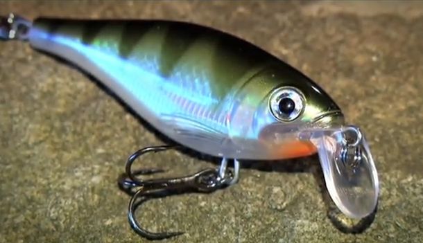 VIDEO: How to use – Rapala X-Rap Shad Shallow